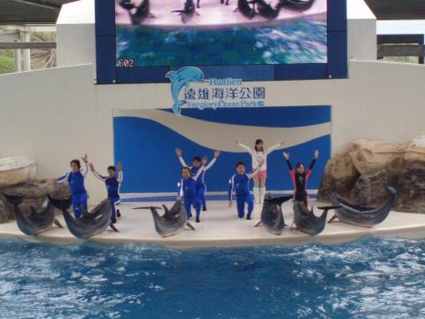 婚禮主持人Melody - 遠雄海洋公園海豚秀主持