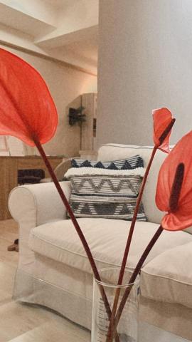 藏美形象管理 美容美睫 熱蠟美肌 紋繡藝術 - 