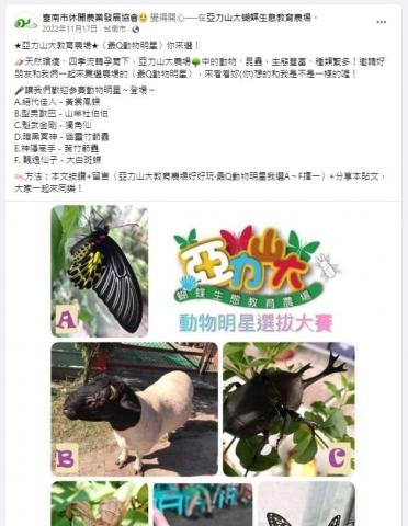 Beryl - 台南農場社群行銷圖文一