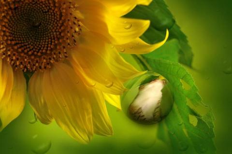 賴惠美 - 拍照後製