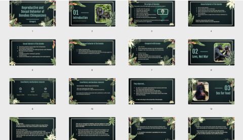 miu miu huang - 動物行為研究全英文簡報設計