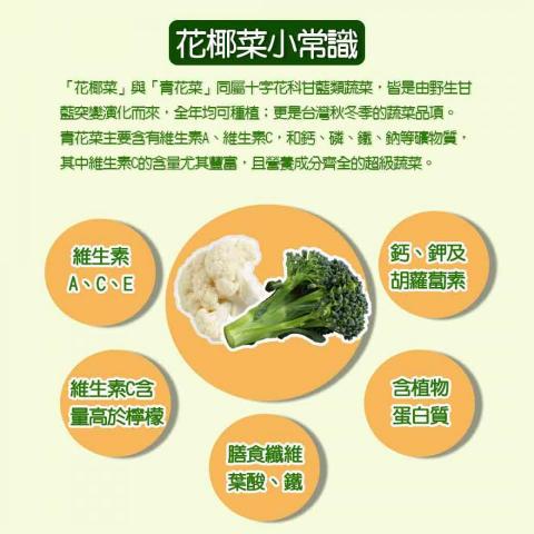 Wendy - 花椰菜小常識 發想製作