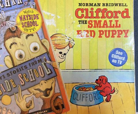 廖若玹 - 以小說或繪本的方式提升學生的英文能力