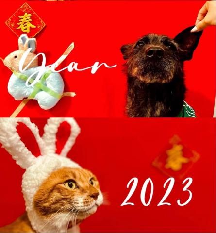 麻煩有確定有需要再請我報價！2024過年連假開放 - 