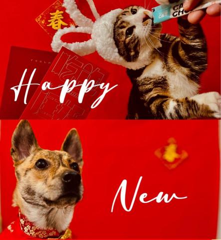 麻煩有確定有需要再請我報價！2024過年連假開放 - 