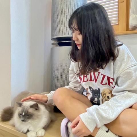 提供平鎮服務的專家何庭