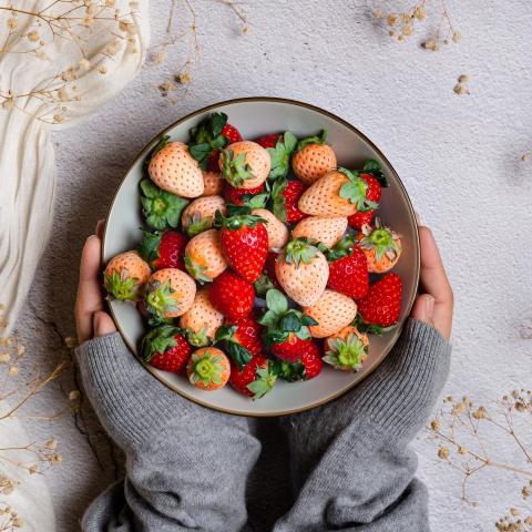 凝鏡影像工作室 - 