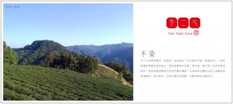 大樹 - 不二心茗茶_品牌故事 大樹 - 不二心茗茶_品牌故事