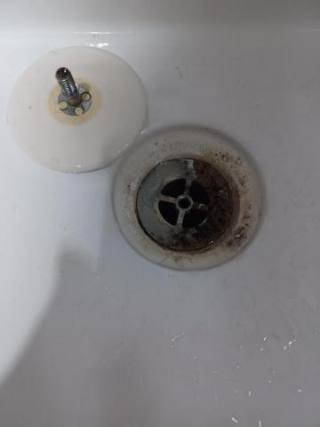 柳雲  家居清潔 - 洗臉盆排水孔