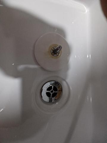 柳雲  家居清潔 - 洗臉盆排水孔2