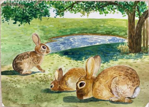 Art with Michelle米雪的生活美術課 - 學生作品（水彩）