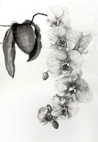 賴琬蓁 - 蘭花-水墨 賴琬蓁 - 蘭花-水墨