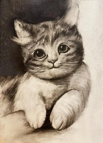 賴琬蓁 -  賴琬蓁 -