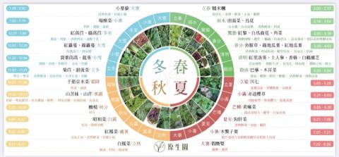 賴琬蓁 - 台東植物園園區海報設計 賴琬蓁 - 台東植物園園區海報設計