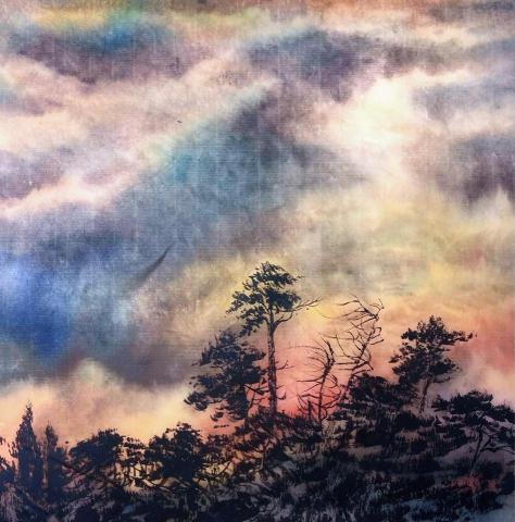 賴琬蓁 -  賴琬蓁 -