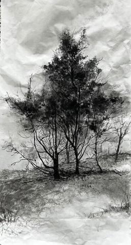 賴琬蓁 -  賴琬蓁 -