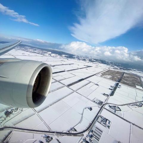 提供toeic題庫服務的專家Tammy Lee