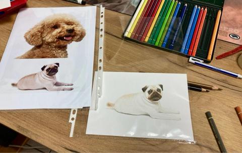 彩果子繪畫 - 輝柏油性色鉛筆｜動物