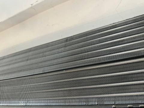 愛美清潔社 -  愛美清潔社 -