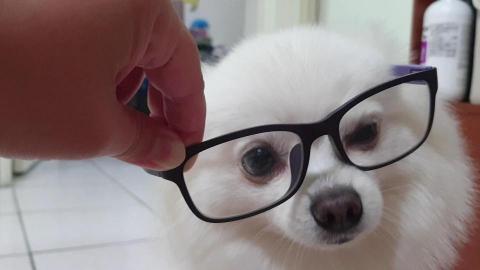 提供n3服務的專家小阿