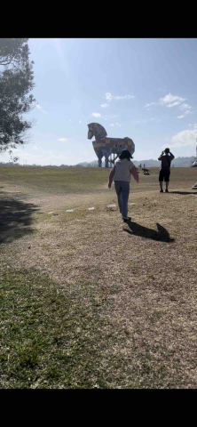 提供250服務的專家Mon