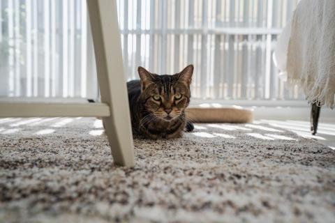 光隅空間設計 - 