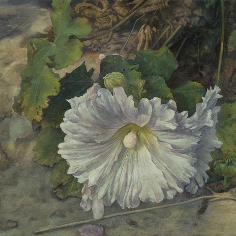 張榕展 - 花卉油畫