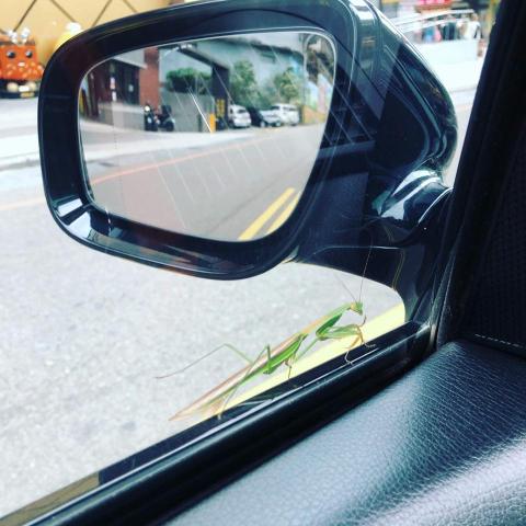 長短程/機場/急件/旅行 - 