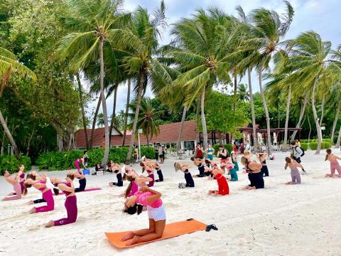 Linda 瑜珈 - 哈達正位流動修復 - 