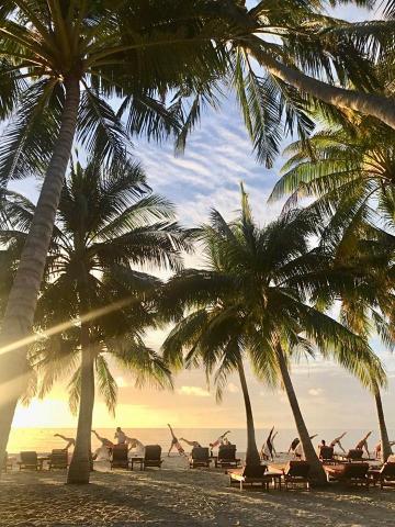 Linda 瑜珈 - 哈達正位流動修復 - 