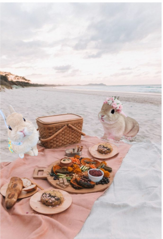 創造工作室 - 兔兔們的野餐