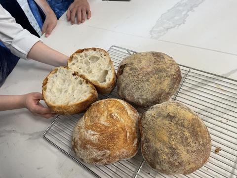 黃希哲 - 義大利傳統的麵包，裡頭可愛的氣孔結合鬆軟的麵包體，加上充滿麥香的酥脆外殼，教您如何一步一步正確的從揉麵、發酵再到烤焙，做出好吃的麵包！