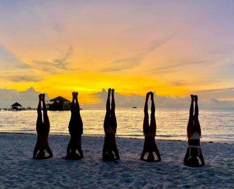 Linda 瑜珈 - 哈達正位流動修復 - 