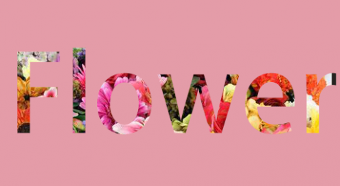 創造工作室 - 花邊 LOGO