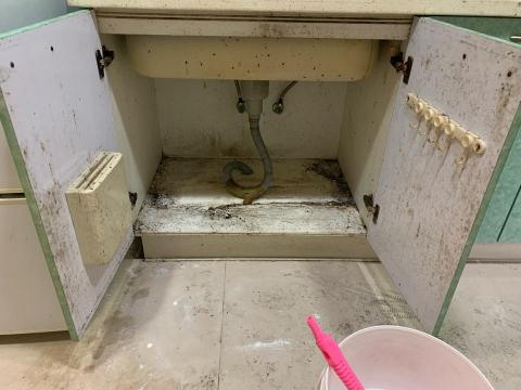 美球清潔 - 　淸潔前