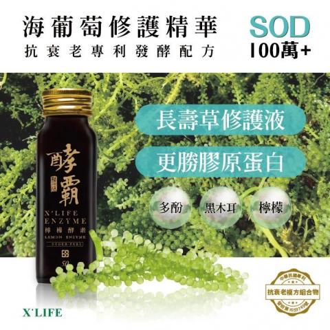 Bonnie Chen - 產品圖文設計