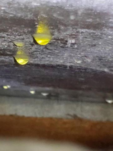 中保潔菌家 - 色水檢測