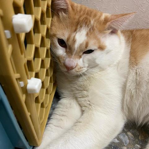 提供五金服務的專家鍾凱迪