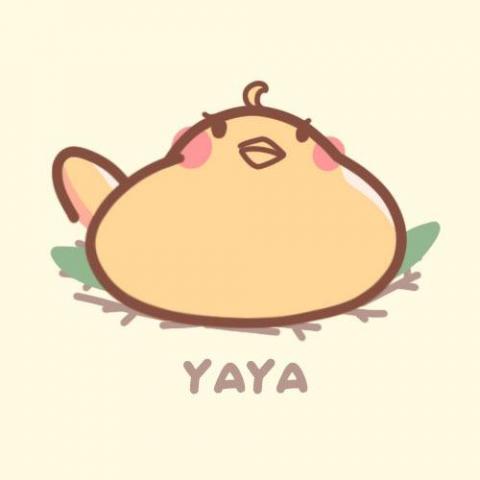 提供ui ux服務的專家FLASH