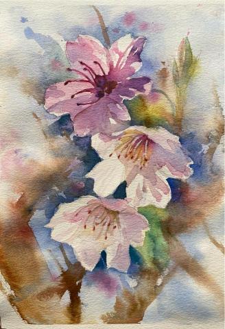 Jasmine老師 - 水彩