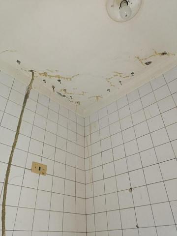 油漆防水工程 - 天花板高壓灌注