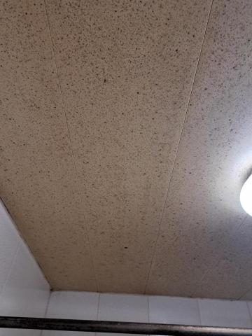 邱小嵐 - 清潔前