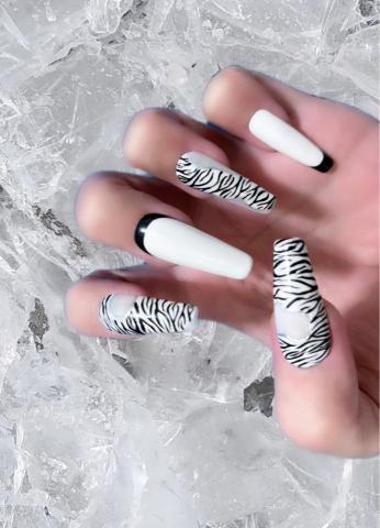 指尖密語 - 摩登斑馬