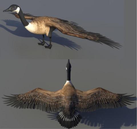 YUILI - 模型材質製作