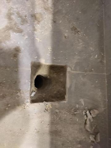 張禹陞-台中天公壇 - 