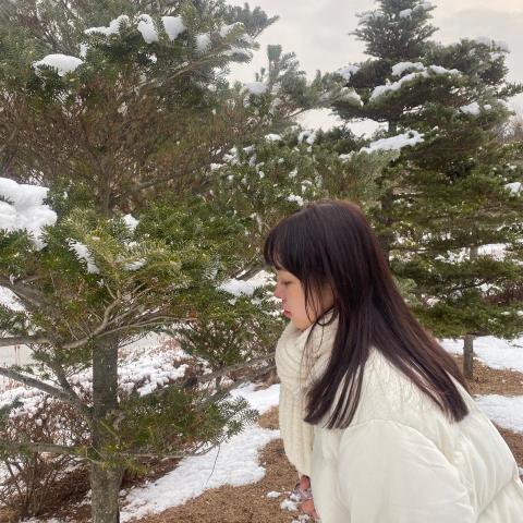 提供報告ppt範本服務的專家sze