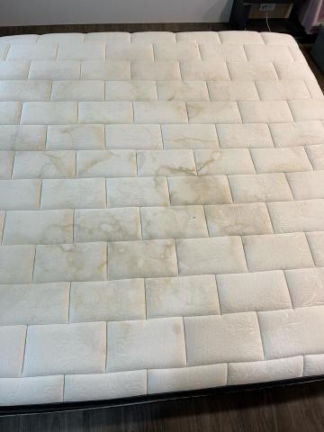 豪乾淨除蟎清潔 - 小孩尿床、吐奶以及汗垢