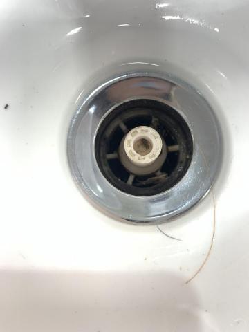 光腳ㄚ居家鍍膜及石材美容 - 頭髮造成堵塞 光腳ㄚ居家鍍膜及石材美容 - 頭髮造成堵塞