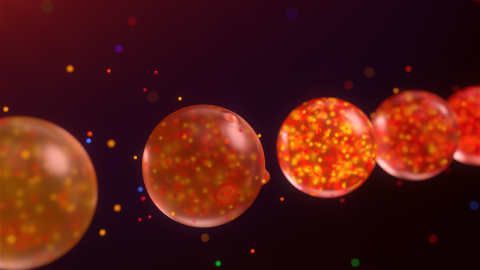 及目圖像設計 - 第33屆金曲獎入圍影片片頭動畫設計01