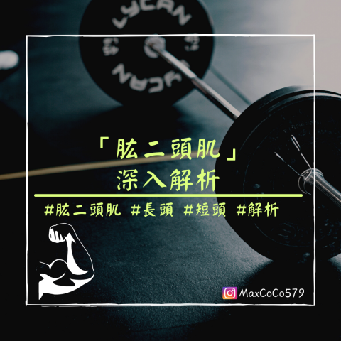 Max Kao - 內容及更多文章皆在IG帳號:Maxcoco579